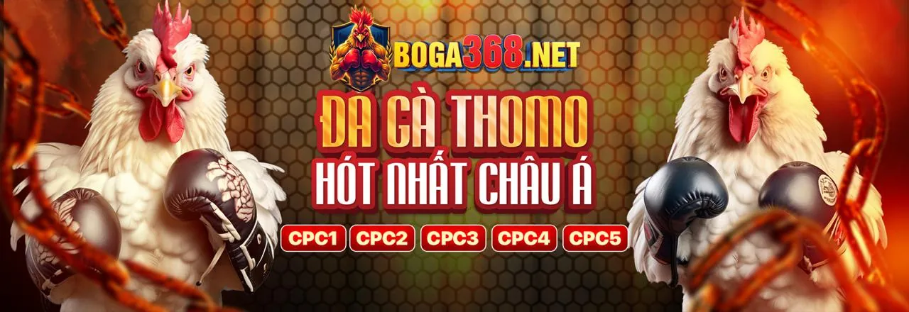 Hình ảnh giới thiệu x888 casino