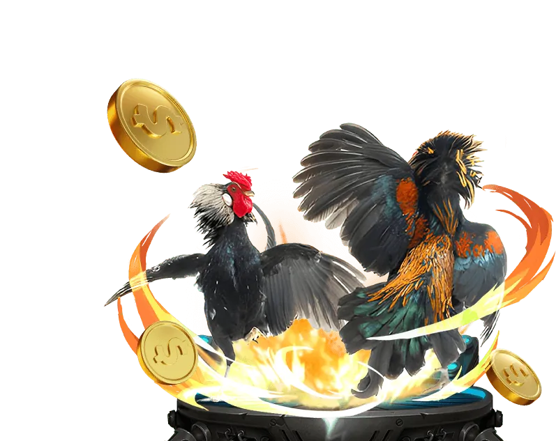 Thưởng Hàng Ngày & Hoàn Trả